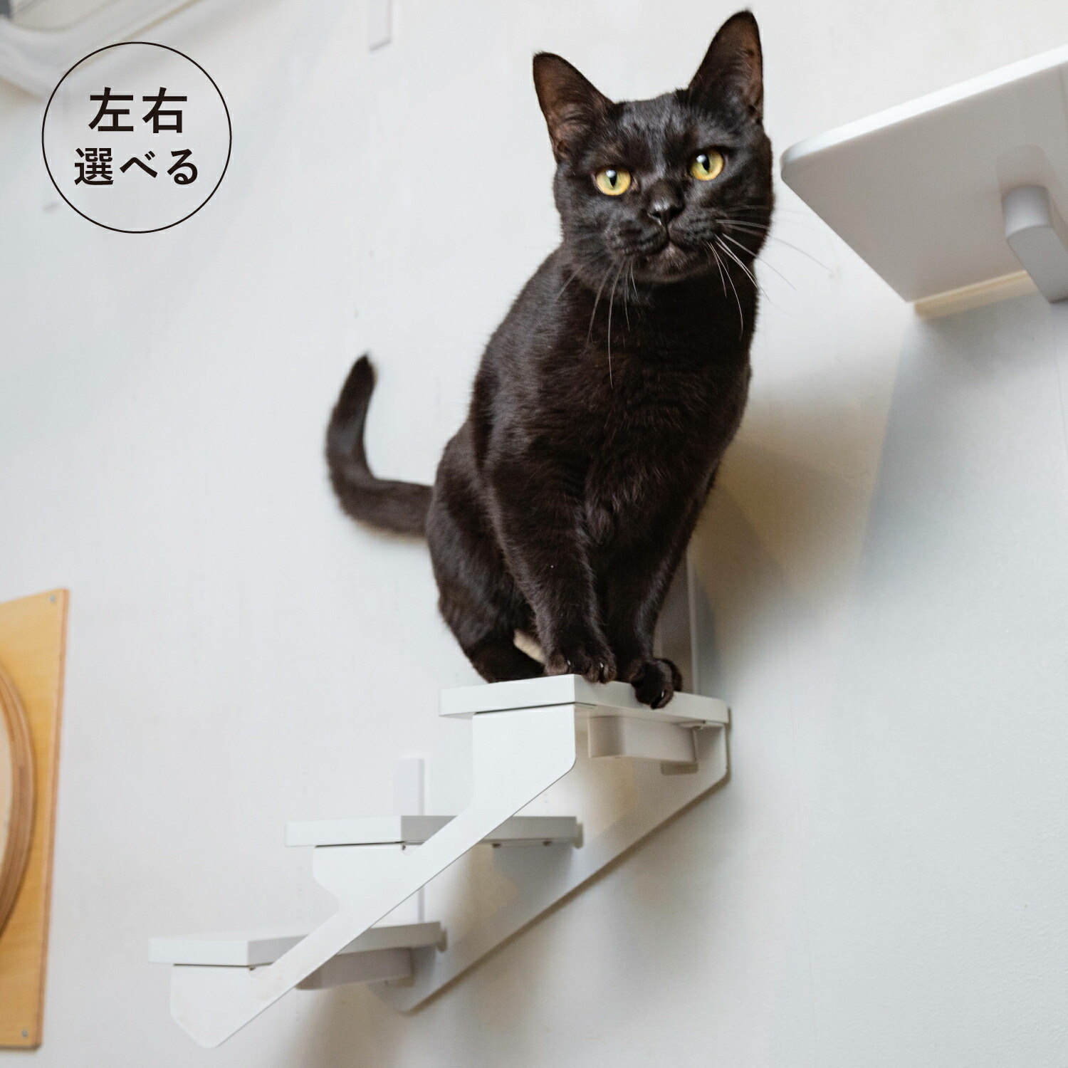 リッチェル　キャットラダーラック　125H キャトタワー　キャットステップ 31wZkhAxqsL.jpg_BO30,255,255,