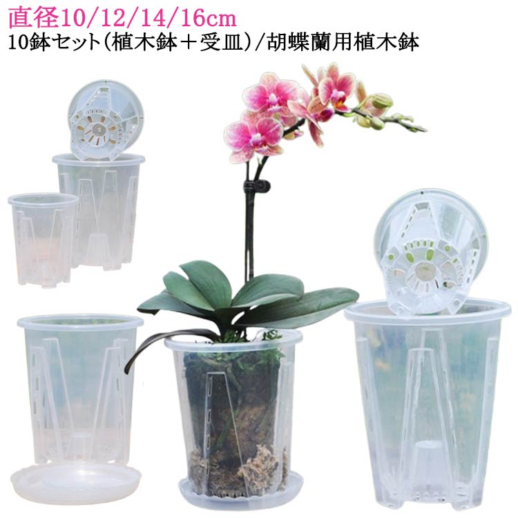 楽天市場】穴付き 受皿付き プラスチック 洋蘭鉢 植木鉢 透明 10
