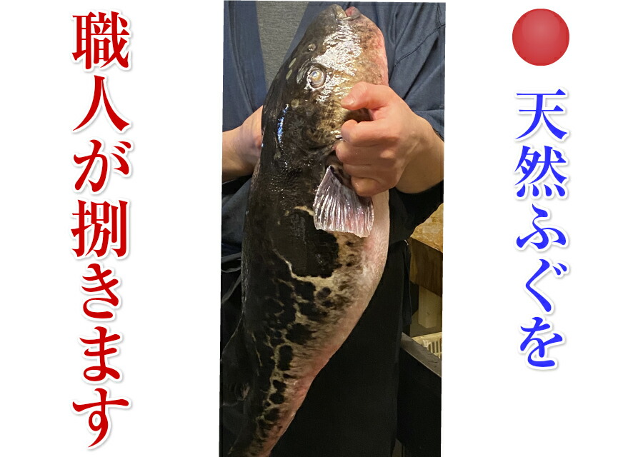 天然 ふぐ刺し ふぐ刺身 ４皿 真ふぐ ふぐ 厚切り てっさ 解凍するだけ ポン酢 紅葉おろし レシピ付 子ポン酢 簡単レシピ レシピ 4 6人前19cm皿 ４ 日本海産 使用 送料無料 小分け 刺身 ７０ｇ身皮湯引き10ｇ付き１皿８０ｇ ４合計3g 4皿 3g 海鮮ギフト セット 柚子