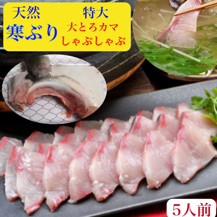 ぶりしゃぶ　セット　ぶり　かま　ブリ　鰤【天然】大トロ【ぶりカマ】しゃぶ　送料無料　刺身　トロ400ｇ＋大トロ【かま】350-400ｇ２個　天然の旨みとコク4人前10キロ級鰤 野菜を用意するだけ　出汁ポン酢柚子こしょう紅葉おろしラーメンレシピ付　お祝い　ギフト