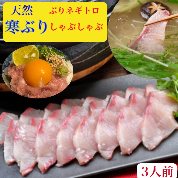 ぶりしゃぶ　ブリしゃぶ　天然　ぶり　鰤しゃぶ　ブリ　ねぎとろ　刺身　セット【送料無料】北海道産10キロ級 寒ブリ　200ｇラーメン　旨みコク2人前　野菜を用意するだけで簡単料亭の味　ブリ ネギトロ丼　4杯分製出汁ポン酢紅葉おろし簡単レシピ付　お祝　ギフト