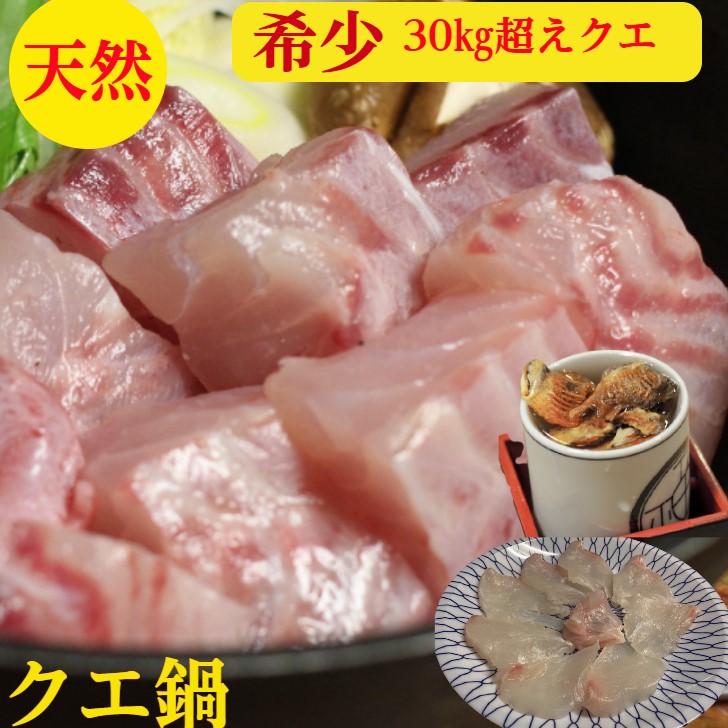 クエ鍋　クエ　幻の30キロ級クエ 天然（くえ鍋）と（クエ刺身）2皿　セット　送料無料　上品な旨みを堪能！鍋はたっぷりぶつ身500ｇ　クエひれ3枚　クエ刺身 80ｇ×2皿で160g 伊豆大島産　3～4人前ポン酢クエ出汁薬味クエひれレシピ付　プレゼント　ギフト　御祝
