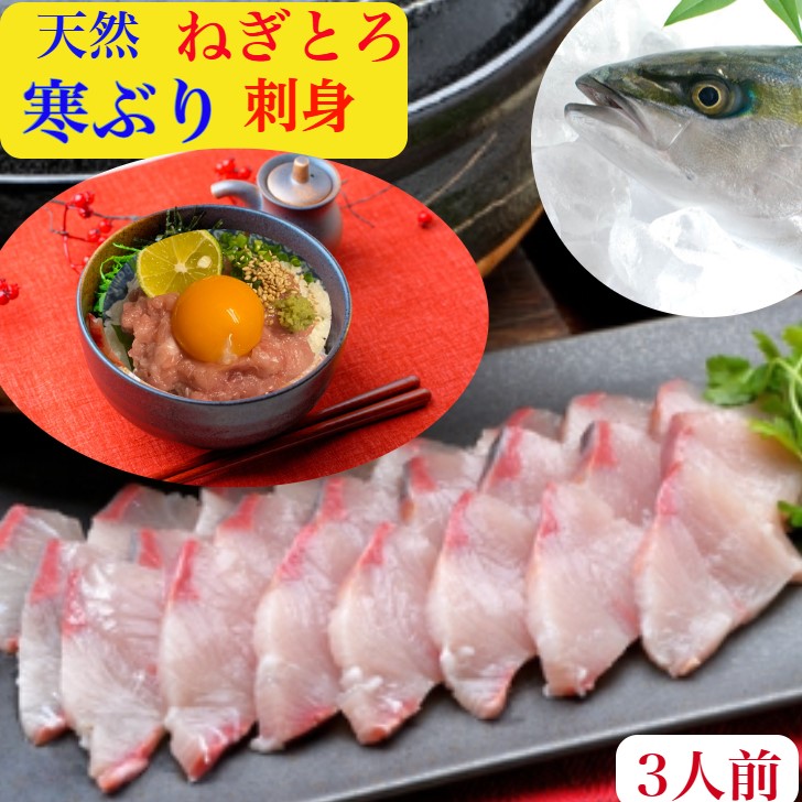 ぶり刺身　ブリ　鰤　ねぎとろ【天然】刺身　セット　カット済　-40度で真空冷凍３人前　北海道産【寒ぶり刺身】200ｇと　ぶりねぎとろ　300ｇ【送料無料】10キロ級　寒ブリ　刺身と叩き身を堪能（ぶりしゃぶ）又【ぶり刺身）又　寿司　漬け丼　レシピ付　御祝　ギフト