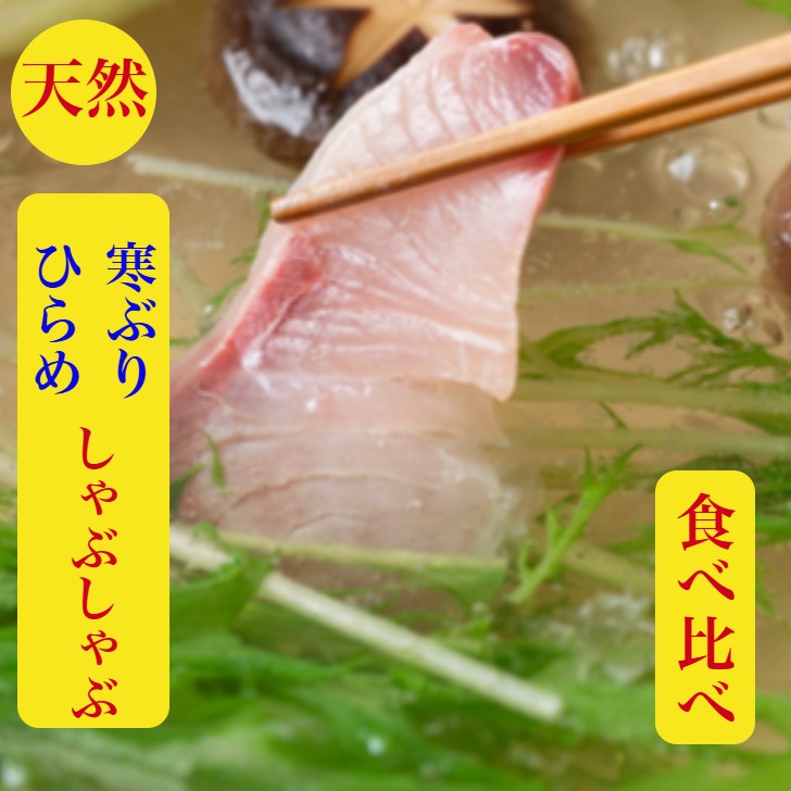 ぶりしゃぶ　ブリしゃぶ　ひらめしゃぶ　セット　天然【寒ブリ　ひらめ】食べ比べ  ぶり　ブリ　鰤　【送料無料】3人前血合い処理済とろ 刺身　200ｇ【ヒラメ】200ｇ天然の旨みコク【寒ブリ】野菜を用意するだけ簡単料亭の味出汁ポン酢ラーメンレシピ　お祝　ギフト
