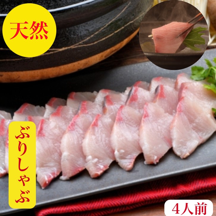 ぶりしゃぶ　ブリしゃぶ セット【天然】ぶり　ブリ　鰤　刺身　4人前　しゃぶしゃぶ　【送料無料】北海道産　寒ぶり　うまトロ600ｇ　血合い処理済　養殖物では味わえない天然の旨みとコク　鰤　10キロ以上物厳選ぽん酢特製出汁ラーメン400gレシピ付　御祝　ギフト