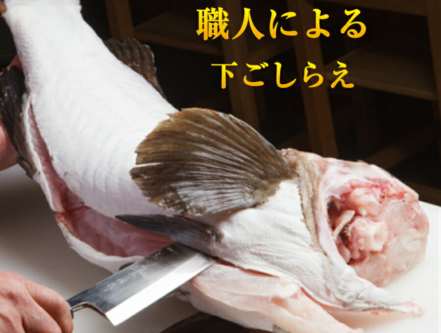 送料無料 天然 はた鍋 刺身セット たっぷり 真ハタ 刺身100 ぶつ身500 4人前 クエ鍋 に負けない旨味 希少 天然はた 天然ハタの中でも5ー10キロサイズ使用 長崎産 ポン酢 ハタ 出汁 下処理済でお店の味簡単レシピ付 お祝い ギフト お歳暮 Kanal9tv Com