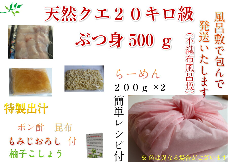 楽天市場 幻の20キロ級天然 クエ鍋 セット 送料無料 お中元