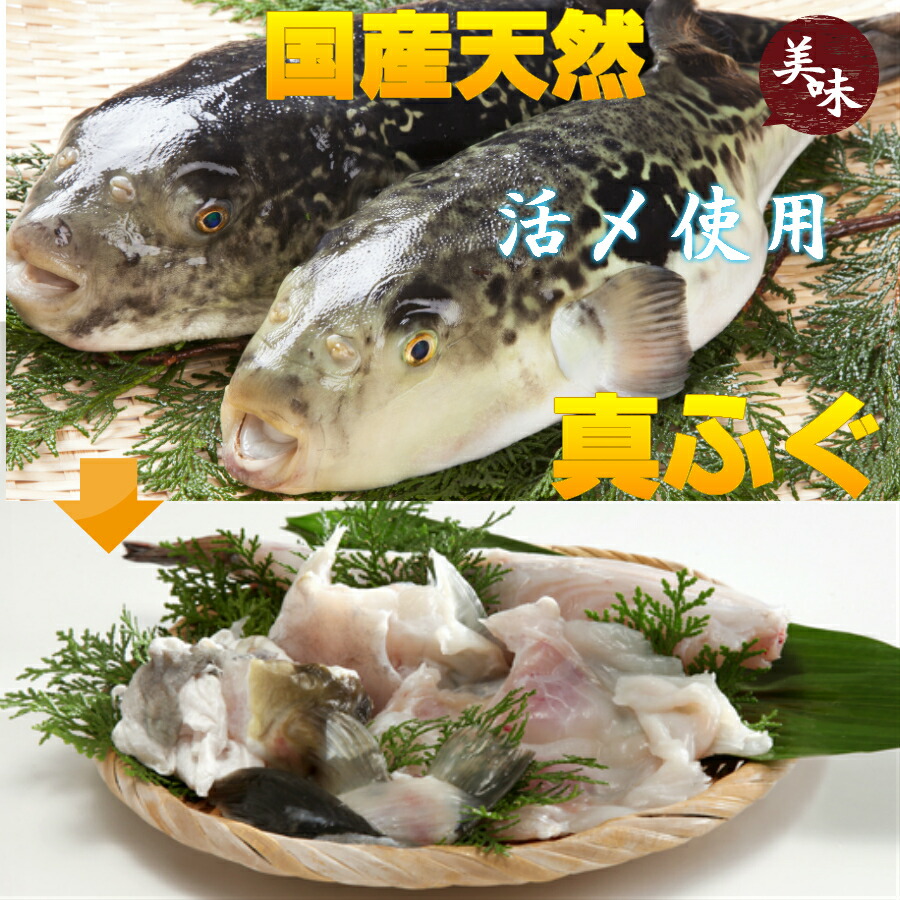 天然 ふぐ刺し ふぐ刺身 ４皿 真ふぐ ふぐ 厚切り てっさ 解凍するだけ ポン酢 紅葉おろし レシピ付 子ポン酢 簡単レシピ レシピ 4 6人前19cm皿 ４ 日本海産 使用 送料無料 小分け 刺身 ７０ｇ身皮湯引き10ｇ付き１皿８０ｇ ４合計3g 4皿 3g 海鮮ギフト セット 柚子