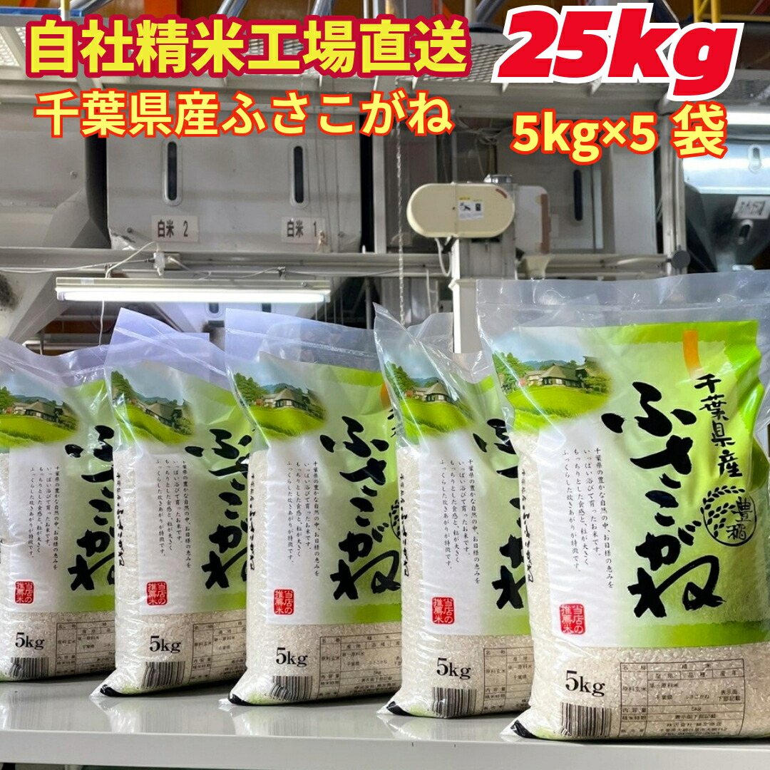【令和7年産】 白米 千葉県産 ふさこがね 25kg (5kg×5) 送料無料 美味しいお米|わたぶん