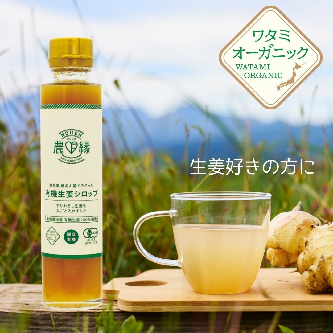 夢想健茶　菊芋茶　24本×2c/s　48本 楽天市場】菊芋茶ペットボトル 500ml×24本 ワタミ オーガニック