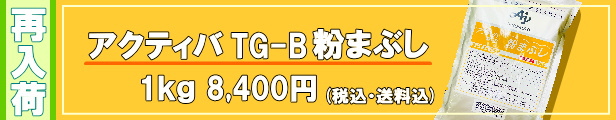 楽天市場】【送料無料】AJINOMOTO TG-B アクティバ 粉まぶし