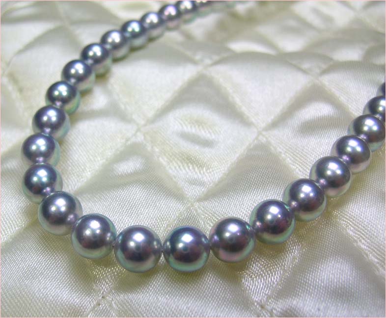 SV金具 アコヤ真珠/パール ブルー グレー（染め）ネックレス 約7.0mm 