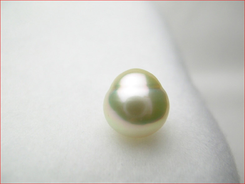 楽天市場】南洋ゴールデンパールルース ナチュラルカラー わずかにセミ