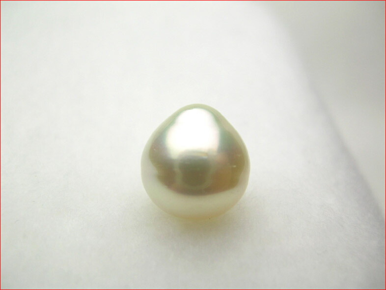 楽天市場】南洋ゴールデンパールルース ナチュラルカラー セミラウンド