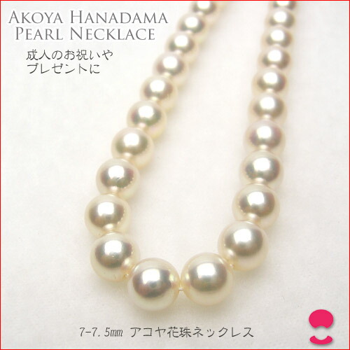 楽天市場】7−7．5ミリ あこや真珠ネックレス 10P20Feb09 : 伊勢