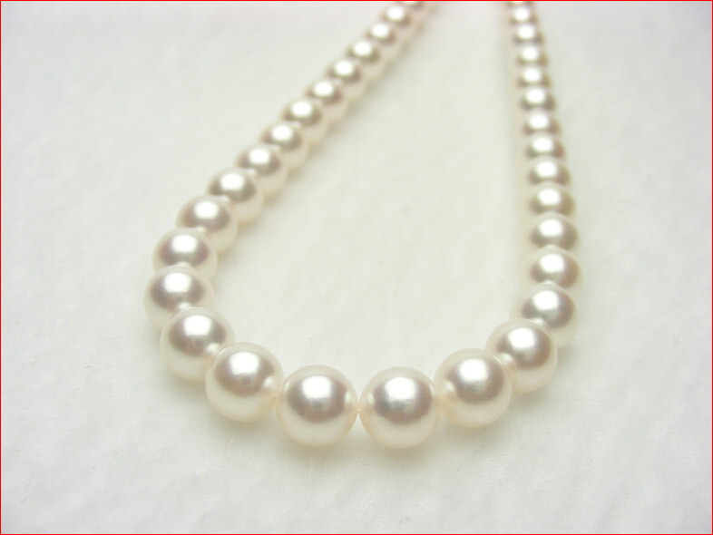 楽天市場】7.5−8ミリ 越物の厚マキ テリあり キズのきわめて少ない