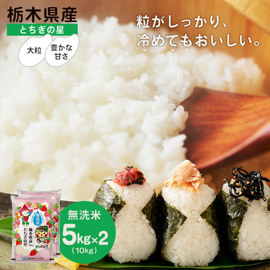 栃木県産 単一原料米 とちぎの星 5kg×2袋 HACCP認定工場製品 栃木県産 単一原料米 とちぎの星 5kg×2袋HACCP認証