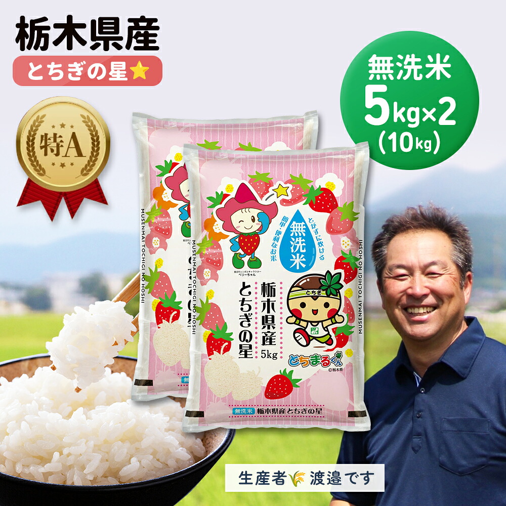 【楽天スーパーSALE】令和７年産【 送料無料 】栃木県産 無洗米 10kg とちぎの星 10kg (5kg×2袋) 10キロ お米 ご飯 白米 御米 精米 とちぎ 御飯 とちぎのほし とちぎ 栃木 プレゼント グルメ