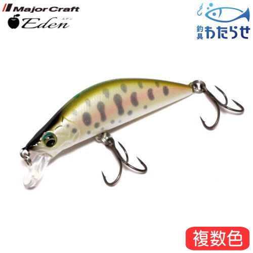 メジャークラフト エデン50S ネイティブトラウト シンキングミノー画像