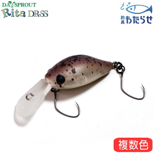 imgrc0106544331.jpg