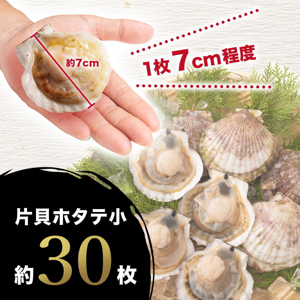 国内外の人気 北海道産 片貝ほたて 小 1kg ハロウィン お取り寄せグルメ 食品 札幌 ご当地 バーベキュー 食材 帆立 殻付き 海鮮 おつまみ  冷凍 BBQ pb プレゼント 贈り物 ギフト balance-life.gr