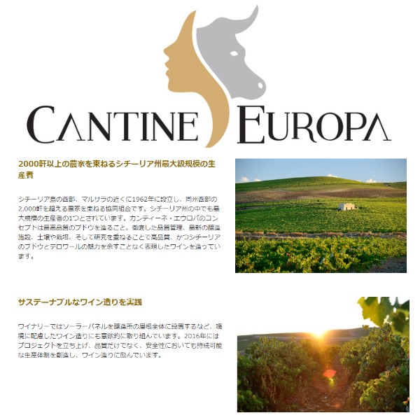 モトックスロチェーノu3000グリッロu3000カンティーネエウロパ 白さ750mlx12vol 1入物 Interstatex Com