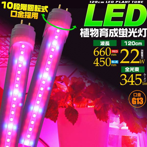 Led Plant Growth Fluorescent Light 120 Cm 40 W Consumption Electric 22 Base G13 Hydroponic Cultivation Lamp Indoor Plants And Vegetable Led Plant Growth Fluorescent Light 120 Cm 40 W Consumption Electric 22 Base G13 Hydroponic Cultivation Lamp Indoor Plants And Vegetable