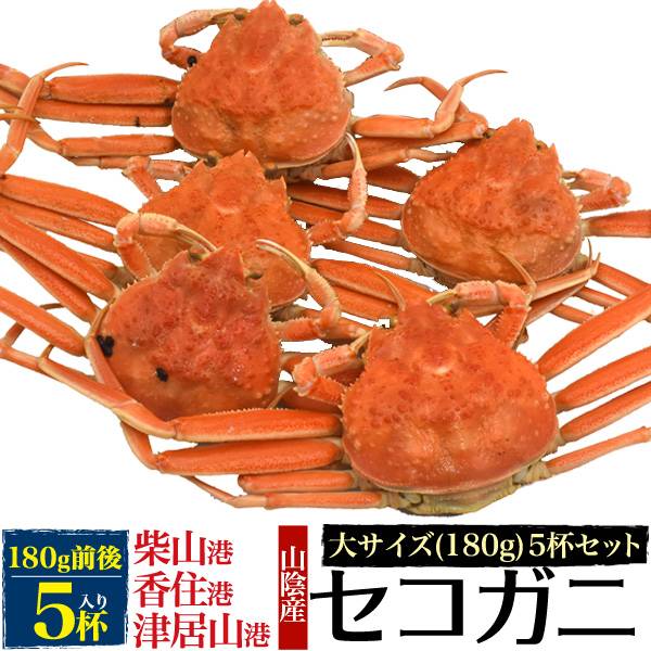 楽天市場 送料無料 セコガニ 釜茹で松葉ガニ ズワイガニ 雌 約5杯セット 180g前後 ボイル済み 産地直送 セイコガニ 背子ガニ コッペガニ 松葉カニ 松葉蟹 カニ 蟹 かに ボイル 茹で 山陰 柴山かに 津居山かに 香住かに 兵庫県産 兵庫産 産直 日本海 姿 日本 国内水揚げ