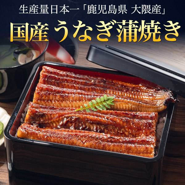 うなぎ 国産 4尾 鹿児島県産 大隈産 140g 150g 大サイズ 国産うなぎ 鰻 ウナギ うなぎ蒲焼 蒲焼き 140グラム 150グラム 4匹 4本 たれ付 粉山椒付 湯煎 電子レンジ可 鰻丼 うな丼 ひつまぶし 熨斗対応 高級食材 土用の丑の日 お中元 贈り物 贈答 グルメ 父の日ギフト