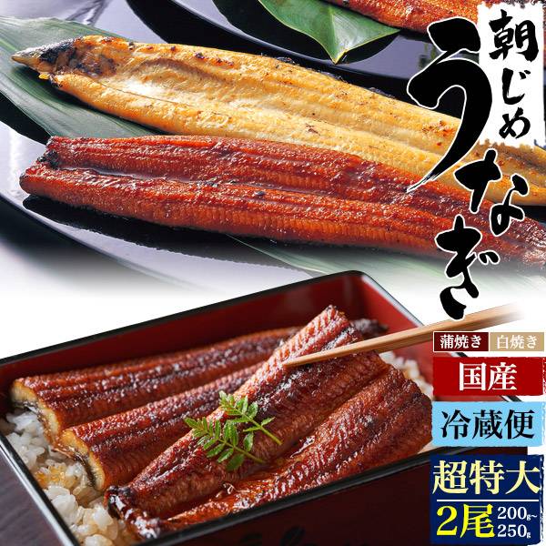 うなぎ 国産 2尾 0g 250g 超特大サイズ 蒲焼き 白焼き 素焼き 国産うなぎ 鰻 ウナギ うなぎ蒲焼 0グラム 250グラム 2匹 2本 うなぎのたれ付 粉山椒付 鰻丼 うな丼 ひつまぶし 熨斗対応 高級食材 土用の丑の日 お中元 贈り物 贈答 冷蔵クール便 グルメ 父の日ギフト