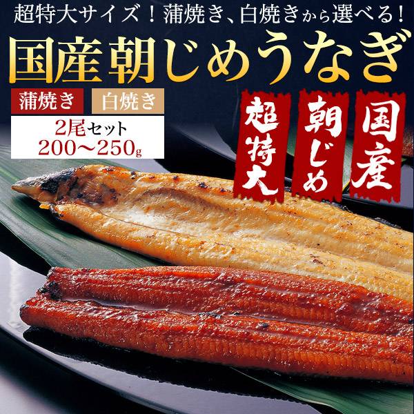 うなぎ 国産 2尾 0g 250g 超特大サイズ 蒲焼き 白焼き 素焼き 国産うなぎ 鰻 ウナギ うなぎ蒲焼 0グラム 250グラム 2匹 2本 うなぎのたれ付 粉山椒付 鰻丼 うな丼 ひつまぶし 熨斗対応 高級食材 土用の丑の日 お中元 贈り物 贈答 冷蔵クール便 グルメ 父の日ギフト