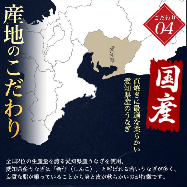 うなぎ 国産 2尾 0g 250g 超特大サイズ 蒲焼き 白焼き 素焼き 国産うなぎ 鰻 ウナギ うなぎ蒲焼 0グラム 250グラム 2匹 2本 うなぎのたれ付 粉山椒付 鰻丼 うな丼 ひつまぶし 熨斗対応 高級食材 土用の丑の日 お中元 贈り物 贈答 冷蔵クール便 グルメ 父の日ギフト