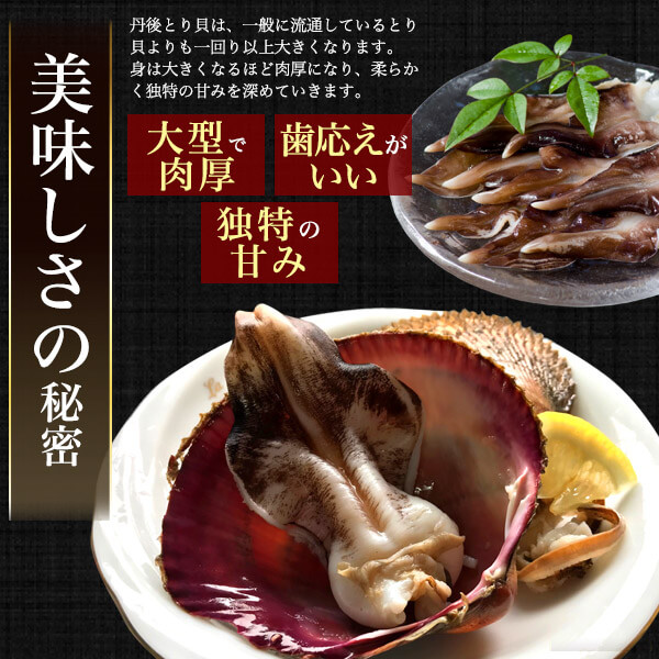 送料無料 とり貝 10個セット 170g 1g トリガイ 鳥貝 特大サイズ 魚介類 お取り寄せ 丹後 国産 京都府産 宮津 舞鶴 京のブランド産品 産地直送 産直 クール便冷蔵 高級食材 贅沢 殻付き 活きたまま 新鮮 生食 刺身 寿司ネタ 茹で 炙り 贈り物 贈答 Barriosurbanos Com Ar