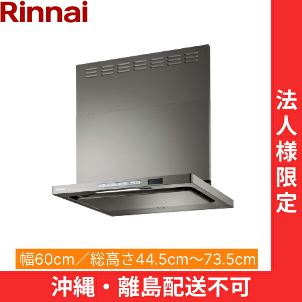 TAG-REC-AP601GM リンナイ RINNAI レンジフード ノンフィルター・スリム型 幅60cm 壁面取付タイプ グレーメタリック 法人様限定・現場配送不可 送料無料|ハイカラン屋