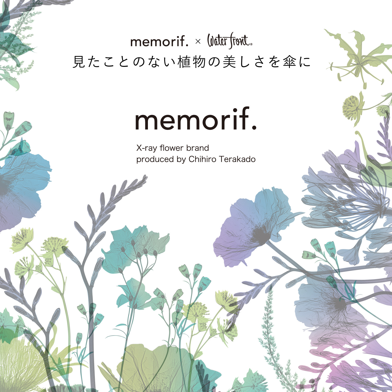 【クーポンで3,267円&P5倍!1日限定】【TVで紹介されました!】Waterfront 公式 長傘 雨傘 ビニール傘 『 memorif.花びらき 』 レディース 55cm 16本骨 耐風 風に強い 耐久 花ひらき構造 花 フラワープリント フラワーアート おしゃれ かわいい 母の日 ギフト プレゼント ラ