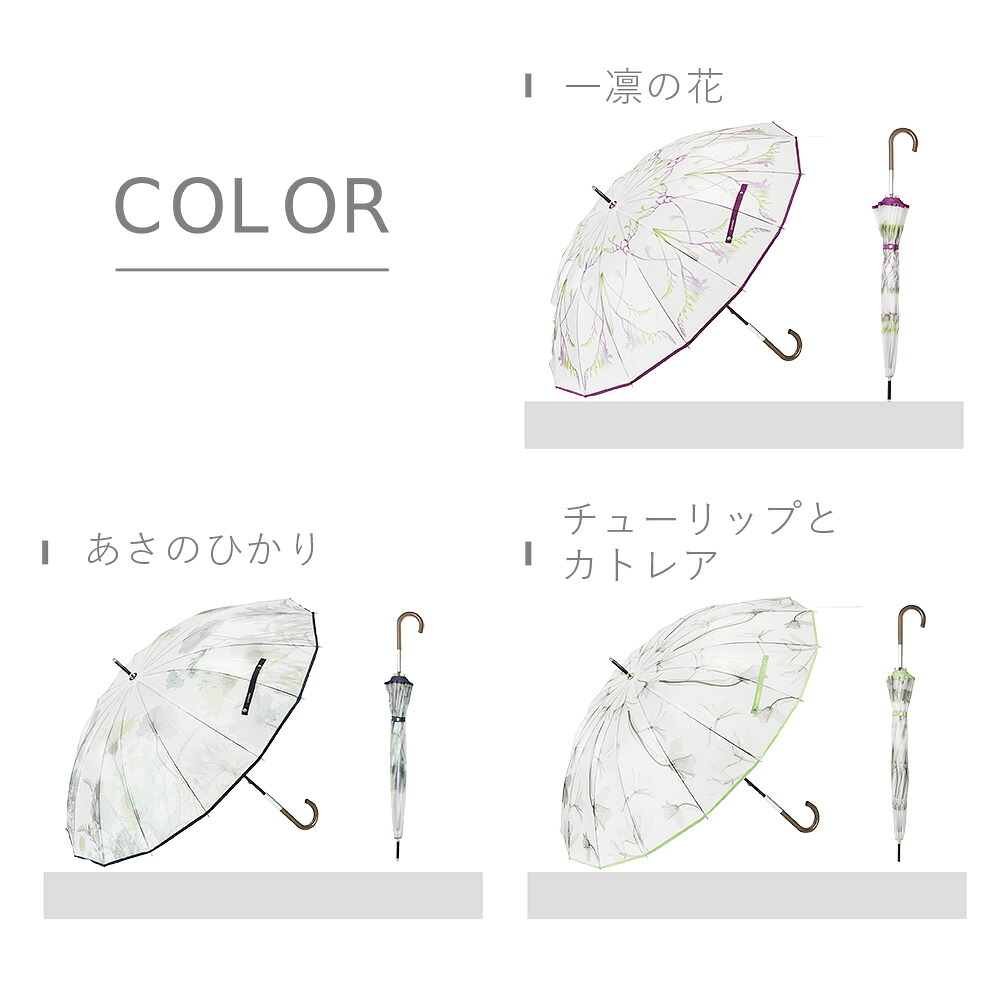 【クーポンで3,267円&P5倍!1日限定】【TVで紹介されました!】Waterfront 公式 長傘 雨傘 ビニール傘 『 memorif.花びらき 』 レディース 55cm 16本骨 耐風 風に強い 耐久 花ひらき構造 花 フラワープリント フラワーアート おしゃれ かわいい 母の日 ギフト プレゼント ラ