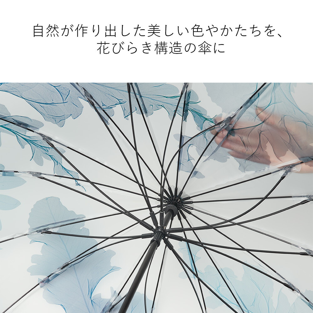 【クーポンで3,267円&P5倍!1日限定】【TVで紹介されました!】Waterfront 公式 長傘 雨傘 ビニール傘 『 memorif.花びらき 』 レディース 55cm 16本骨 耐風 風に強い 耐久 花ひらき構造 花 フラワープリント フラワーアート おしゃれ かわいい 母の日 ギフト プレゼント ラ