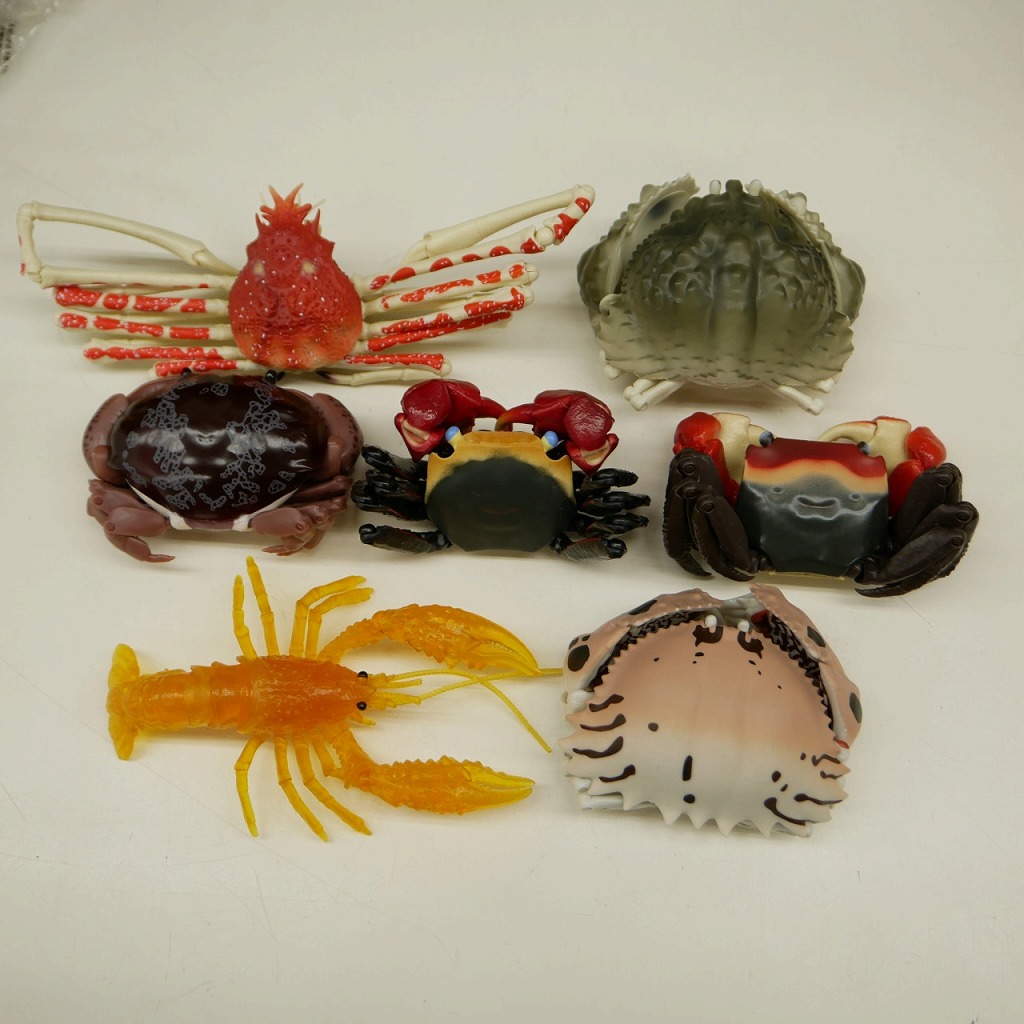 蟹の模型 Amazon.co.jp: Eden Toys カブトガニ 甲蟹 兜蟹 ? 動物 海洋 節