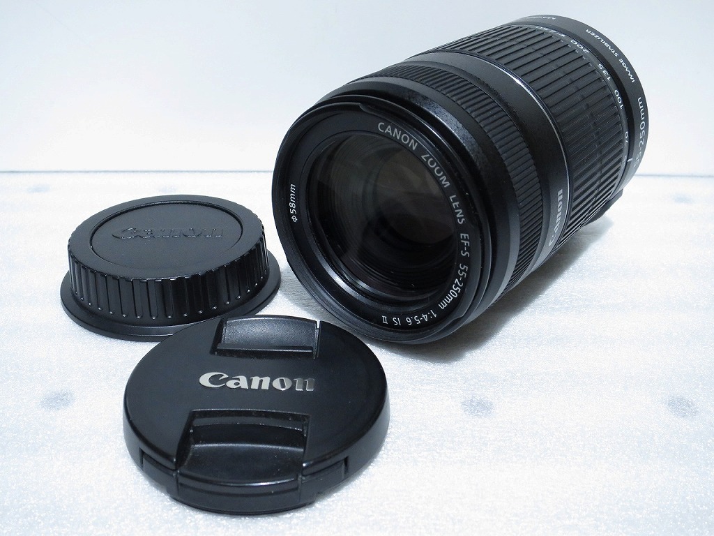 【全品ポイント10倍！要エントリー】【期間限定セール】キヤノン Canon APS-C専用レンズ EF-S 55-250mm F4-5.6 IS ll 【中古】
