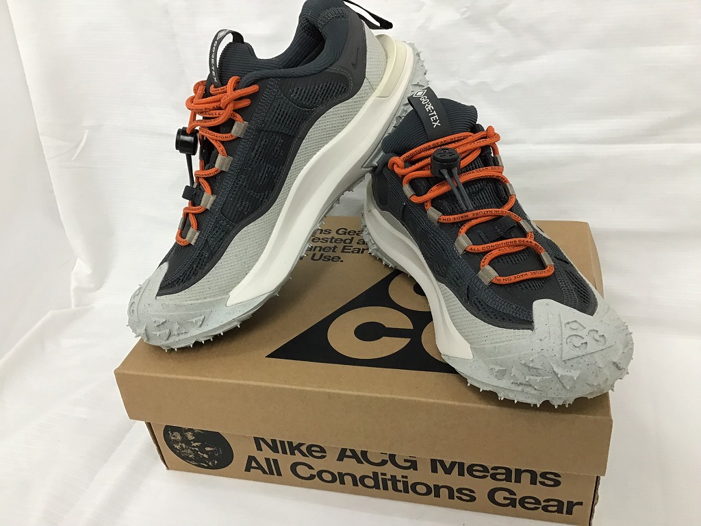 ナイキ NIKE AGC MOUNTAIN FLY 2 LOW GTX 【中古】