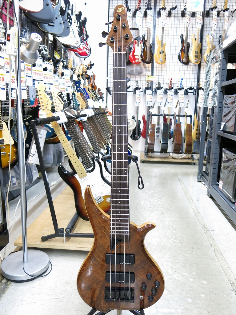 【全品ポイント10倍!要エントリー】【期間限定セール】テューンギターマニアック TUNE GUITAR MANIAC TWB-5 Exotic Crotch Walnut 【中古】|ワットマン店