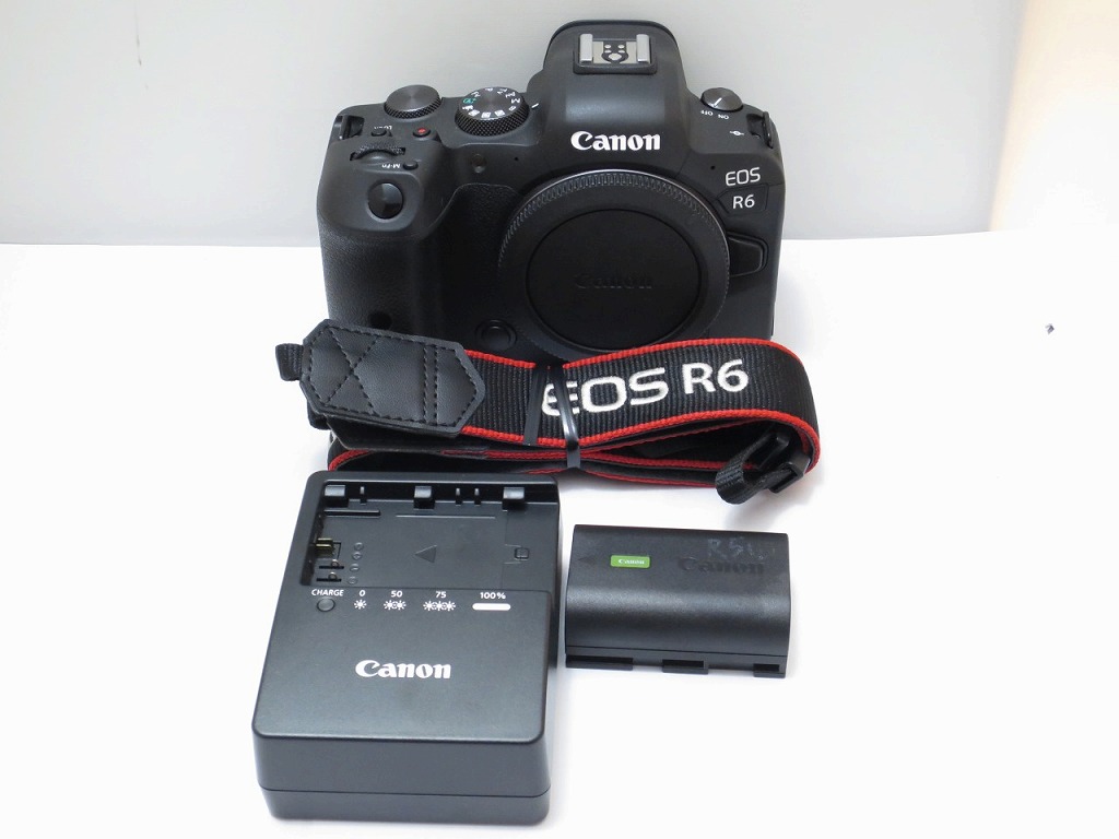 キヤノン Canon 鏡鑑受け答え一眼 EOS R6 【中古】