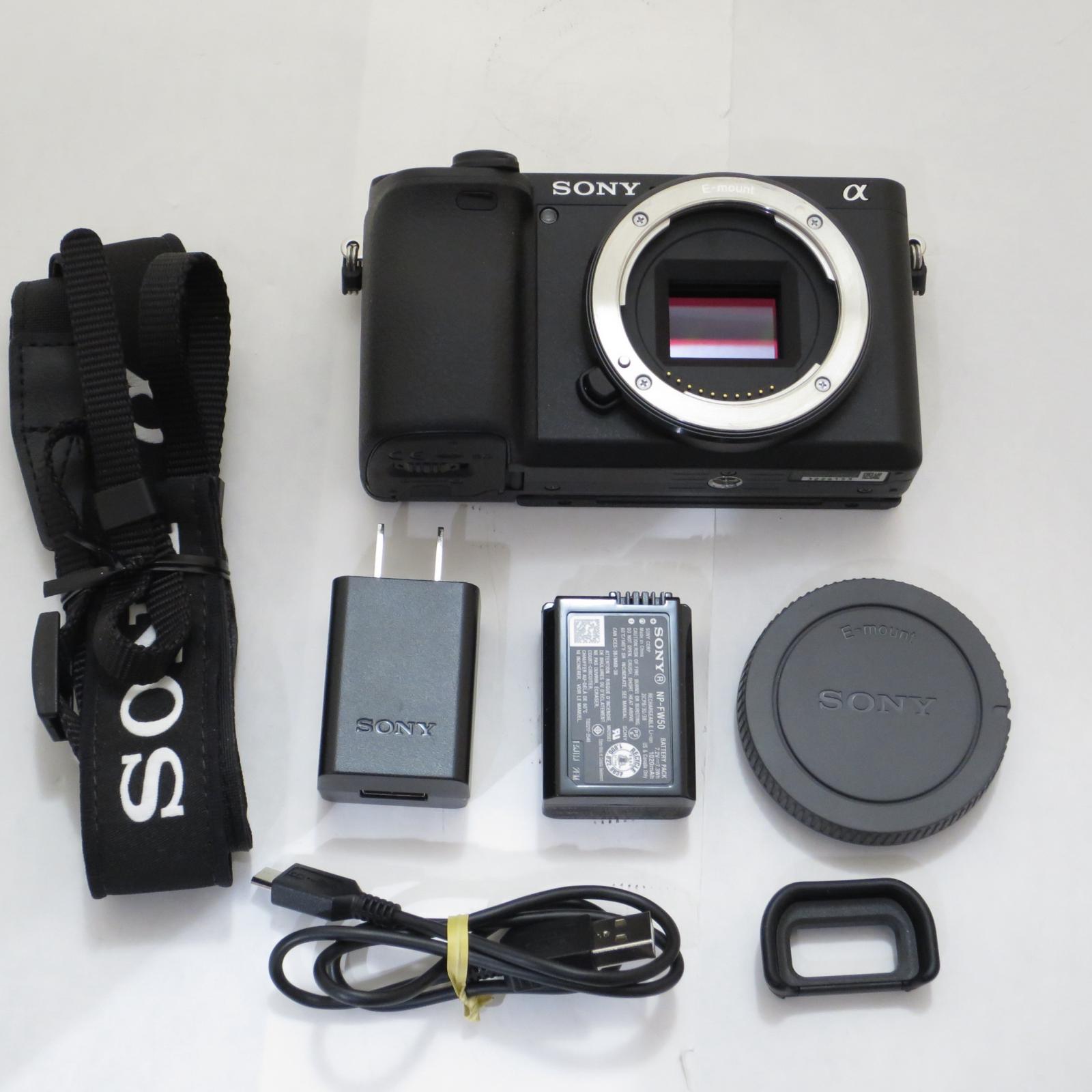 ソニー SONY 銀鏡受け答え α6400