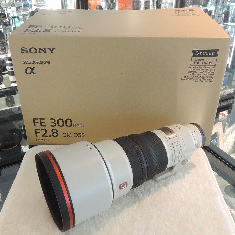【全品ポイント10倍！要エントリー】ソニー SONY レンズ FE 300mm f2.8 GM OSS｜ワットマン店