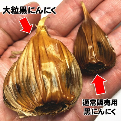 食べにくいけど味いはそのちょくちょく 青森県産生大粒溢者にんにく400g 3袋 あす心安い 貨物輸送無料 青森県産の大粒黒にんにくばかりを集めました ぽっちり食べにくいですが精分代価や味わいに転遷ありおません ハーフまた候は4分の1評点に引き分けてお召し上がり
