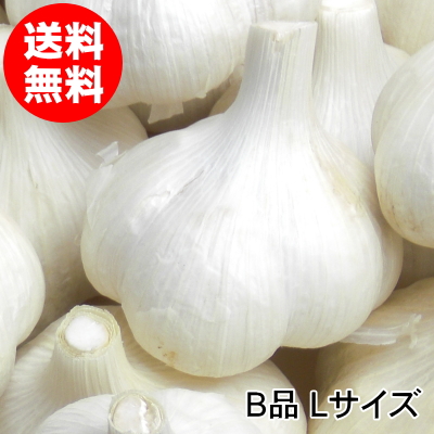 楽天市場】【令和5年産新物】青森県産 生にんにく Ｍサイズ 1kg 国産