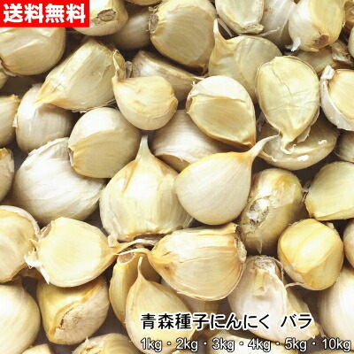 青森内果皮にんにく 薔薇 1kg～10kg 種球 国産 福地白いこと六片 令和8年産 貨物輸送無料