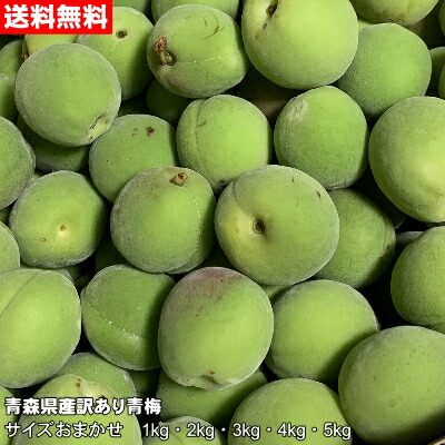 【令和7年産】【規格外】青森県産訳あり豊後梅 1kg～5kg※サイズおまかせ※ [枝傷・サビ・黒点あり]【クール便送料無料】画像
