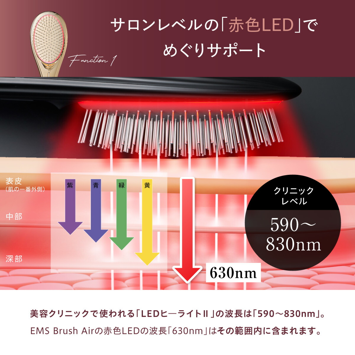 ポイント10倍 EMS ヘアブラシ ヘアーブラシ くし ブラシ クシ 髪