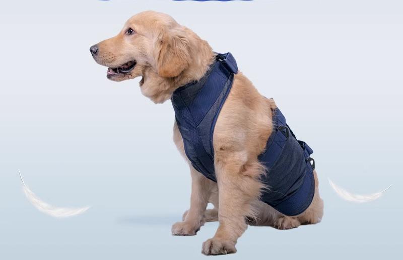 歩行補助 ハーネス 犬 介護 高齢 ペット用品 中型 大型 怪我防止 散歩 通気性 快適 牽引 着脱簡単 調節可能 持ち運び リハビリ 術後 サポート 青 ピンク